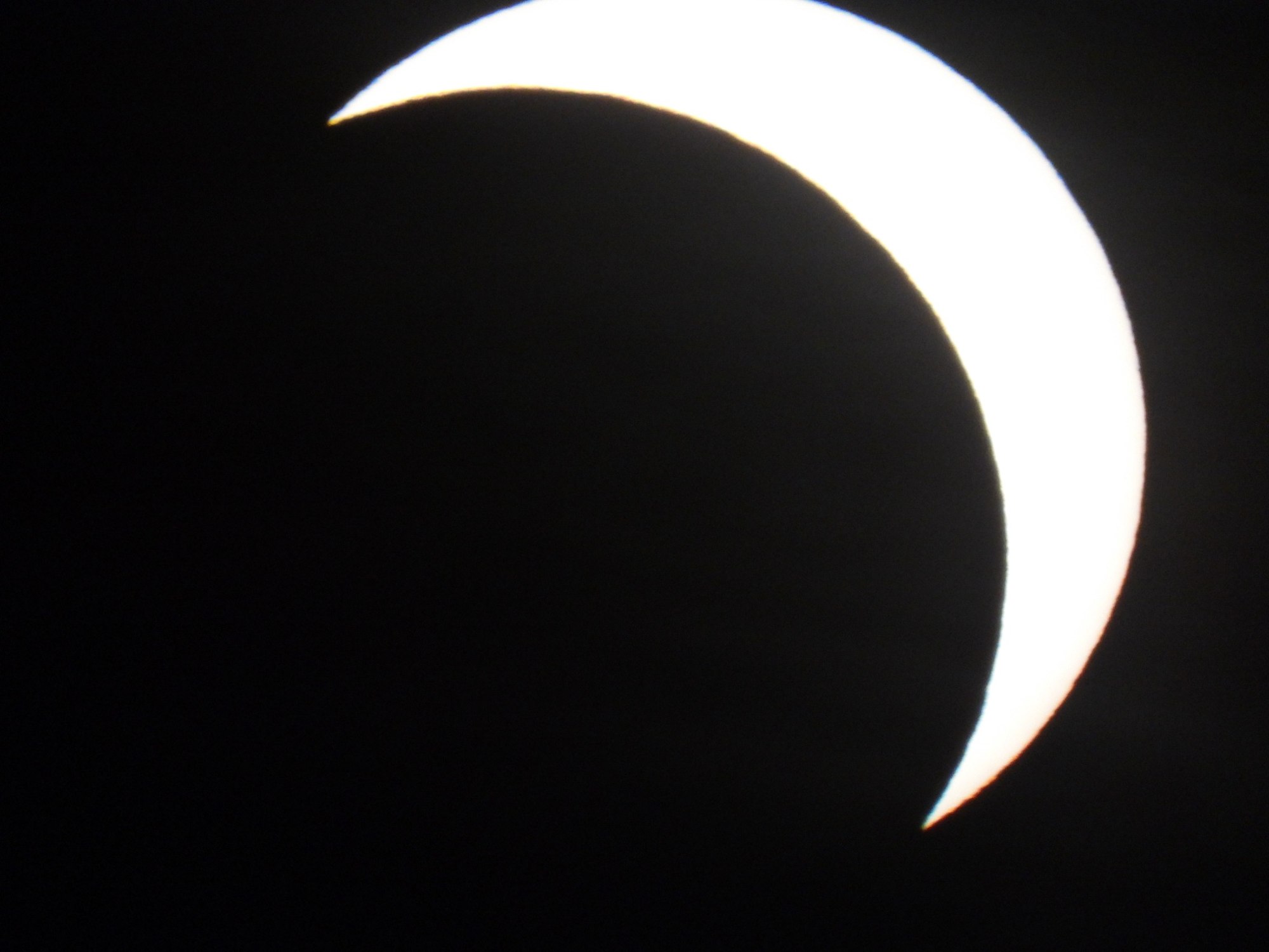 Månesegl fotograferet gennem teleskop